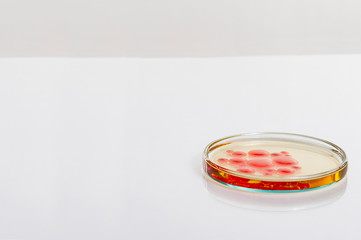  laboratory equipment on a laboratory table on a white background during the experiments