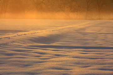 北上川の冬景色