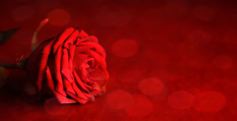 Valentine's Day background