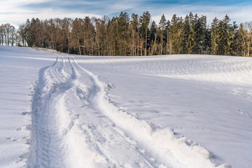 Fototapeta na wymiar Tiefe Furchen im neuen Schnee führen zu einem Wald