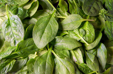Fresh green baby spinach leaves as background close up