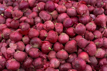 Red onions background