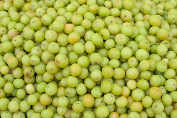  Indian Gooseberry background