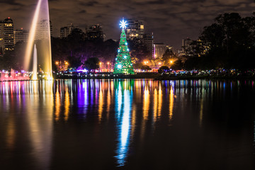Fototapeta na wymiar Christmas tree on the lake