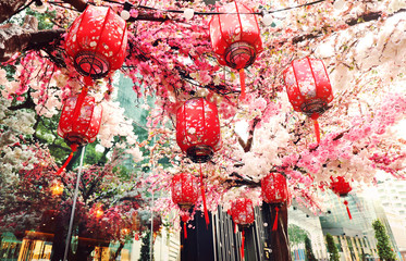 Red Chinese lanterns and sakura. Chinese New Year celebration.