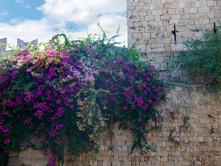 Rhodes Old Town resembles a medieval time capsule behind a double ring of high walls and a deep moat. Few places have so many layers of architectural history
