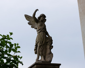 statue of angel with wings