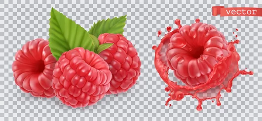 Fotobehang Raspberry. Sweet fruit. 3d realistic vector icon © Natis