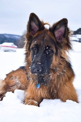 Snow day