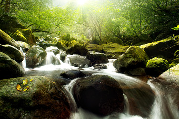  river nature landscape with stream in rainforest nature