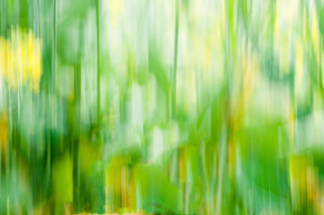 abstract green background