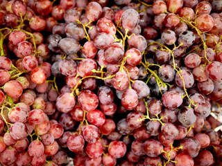  Many red ripe grapes