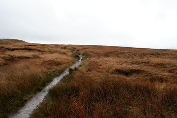 Saddleworth Moor