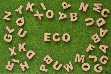 

ＥＣＯ 
