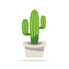 Cactus in pot vector isolated