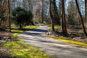 A paved path winds through a green mossy area with a bench at Crowder County Park in Apex North Carolina, outskirts of Raleigh.