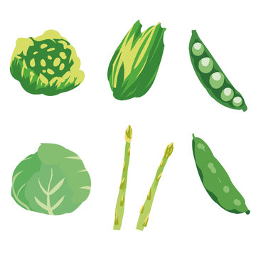 春野菜 緑黄色野菜 イラストセット1 Green Yellow Vegetables Set1 Stock Vector Adobe Stock 春野菜 緑黄色野菜 イラストセット1 Green Yellow Vegetables Set1 Stock Vector Adobe Stock