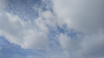 Fototapeta premium 青空
