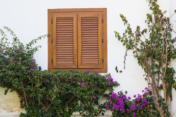 Window shutters of a mediterranean house, vintage background.