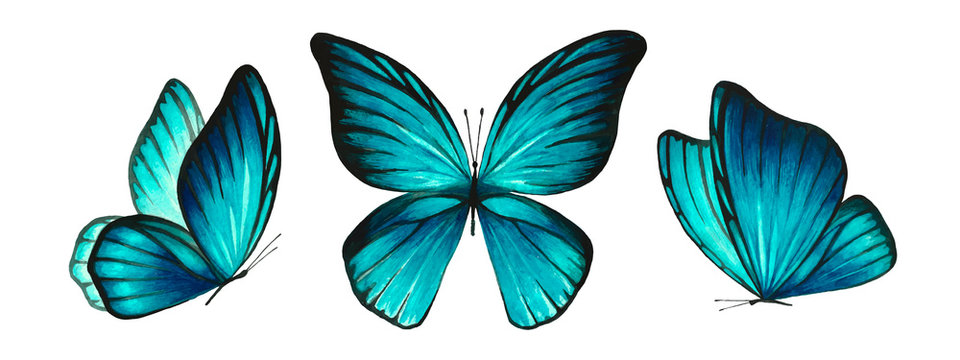 Three watercolor light blue bright butterflies