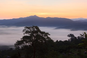 Clouds and mist covered at the top of the mountain.
