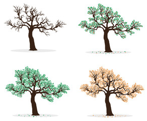 Collection of Four Season Trees. Spring, Summer, Autumn, Winter. Vector Illustration