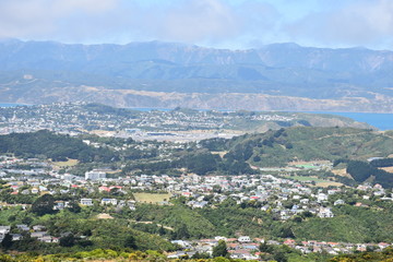 Fototapeta na wymiar City view of the city in Wellington New Zealand