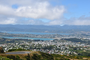 Fototapeta na wymiar City view of the city in Wellington New Zealand