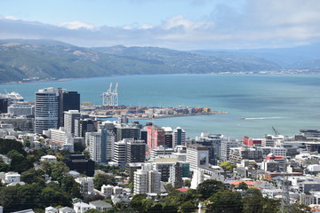 Wellington city vew