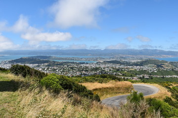 Fototapeta na wymiar Wellington city vew