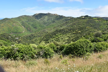 Hills in New Zealand