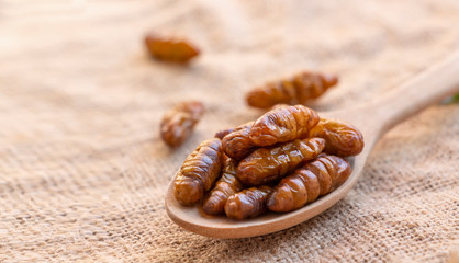 Worm insects or Chrysalis Silkworm in a wooden spoon on sackcloth. The concept of protein food sources from insects. It is a good source of protein, vitamin, and fiber.