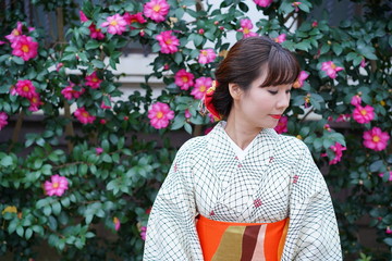椿の前で佇む着物の女性　一人