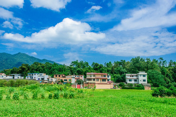 The countryside scenery in spring