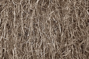 brown dry straw for background