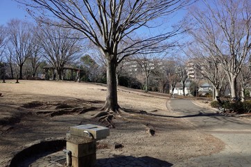 冬の公園