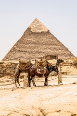 The Great Pyramids of Giza desert near Cairo in Egypt unesco cultural heritage