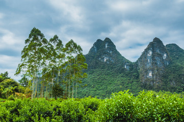 The mountains and rural scenery 