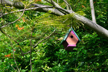 Wooden bird house hanging on a tree  branch with green foliage background