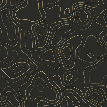 Amazing topography. Actual topography map. Seamless design. Alive tileable isolines pattern, vector illustration.