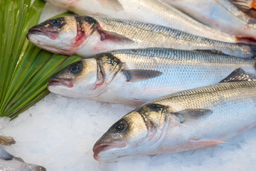 Fresh fish on ice in fish market
