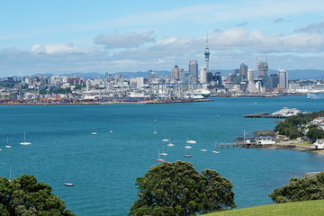 Auckland Skyline