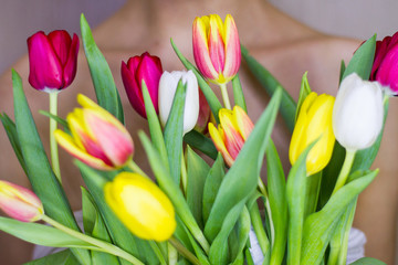 tulip on the background of the girl's body