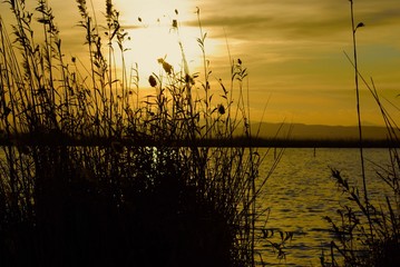 Poniente en lago © Xavier