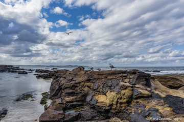 rocks on the beach