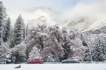 Yosemite National Park