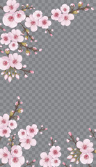 Fototapeta na wymiar Handmade background in Chinese style. Theme design fabric, invitations, packaging, cards, story. Spring frame vertical of sakura flowers. Rose on transparent fond.