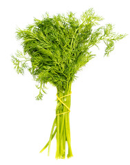 Green bunch of dill on a white background