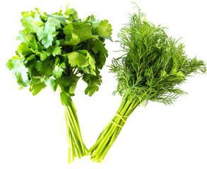 Green bunch of parsley and dill on a white background