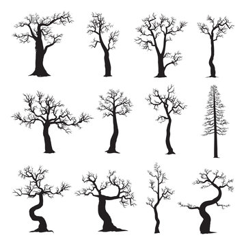 Dead tree without leaves, collection of trees silhouettes, vector illustration on white background